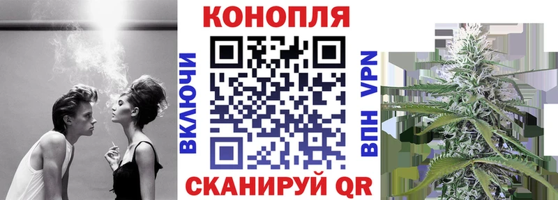 kraken как войти  Белокуриха  Канабис конопля  как найти наркотики 